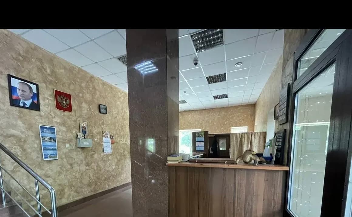 Превью 5